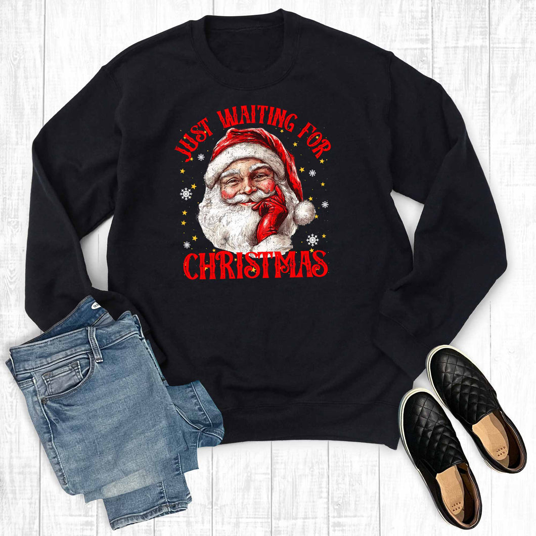 Funny Just Waiting For Christmas Sweatshirt