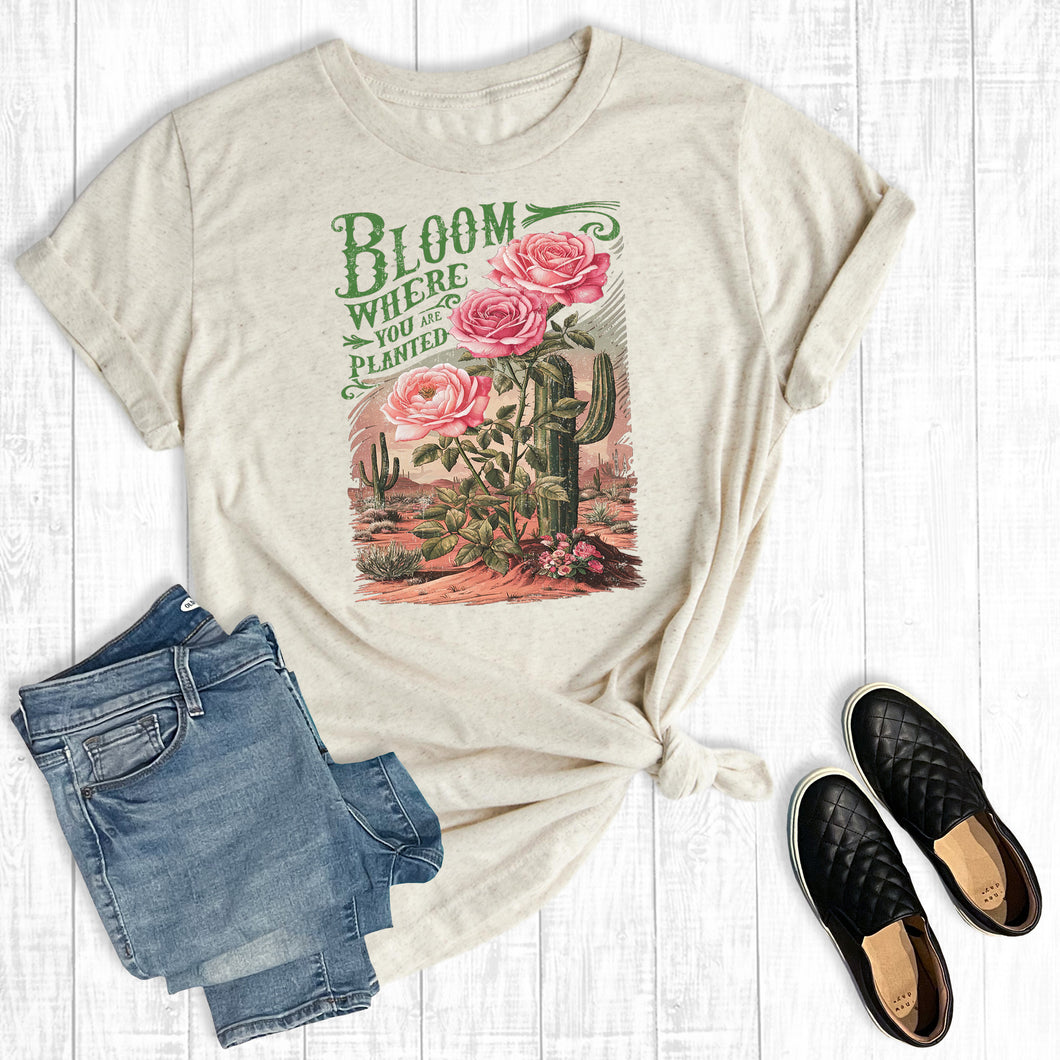 Western Cactus Bloom Where You Are Planted