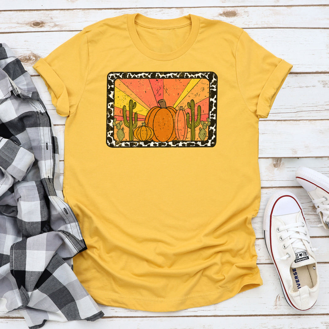 Western Fall Desert Pumpkins