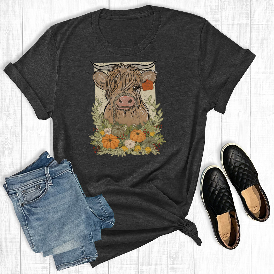 Fall Longhorn Cow