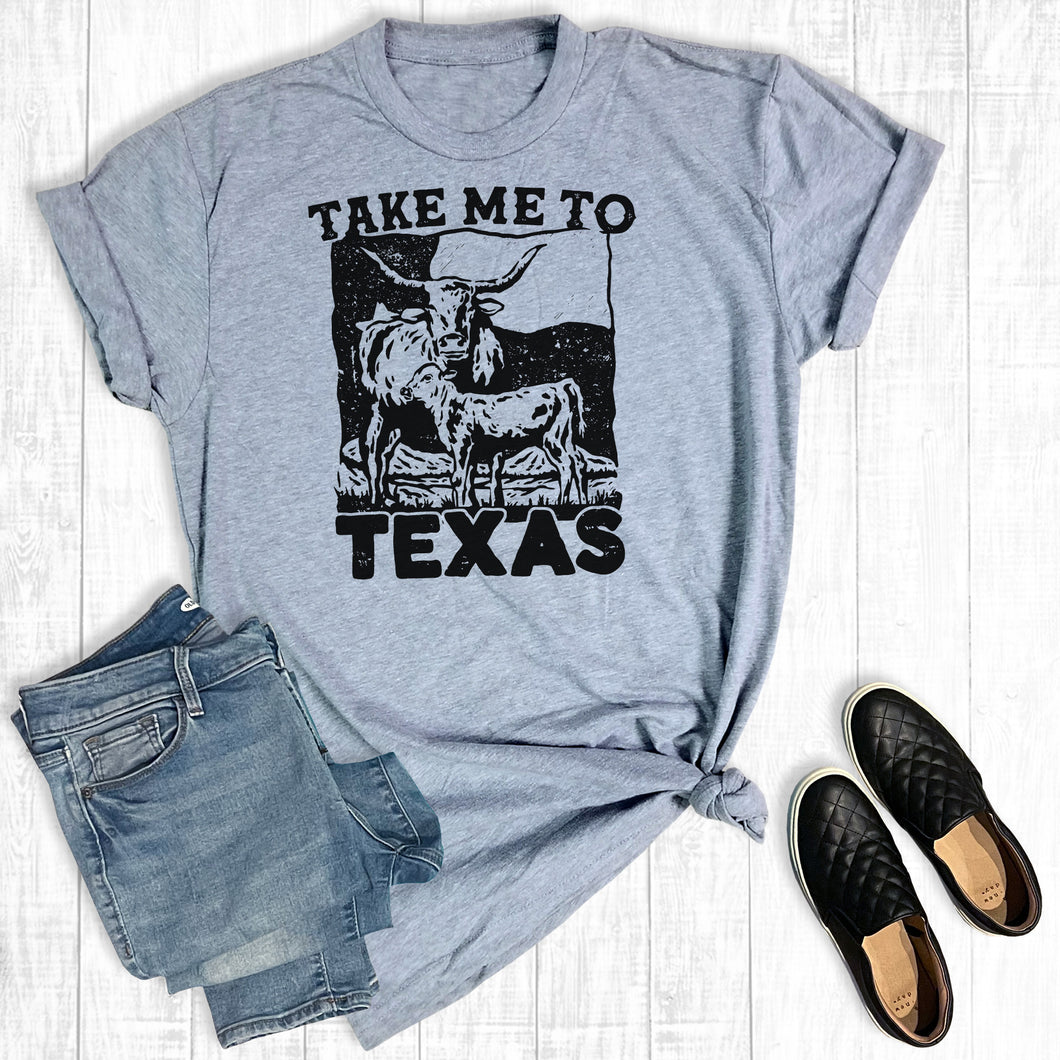 Take Me To Texas